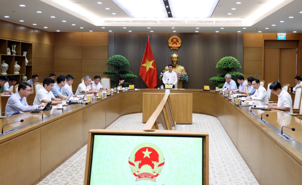 Các đại biểu dự cuộc họp. Ảnh: VGP