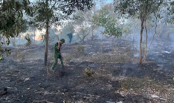 Scene of the forest fire in My Thuy commune, Quang Tri province. Photo: Hai An Border Guard Station