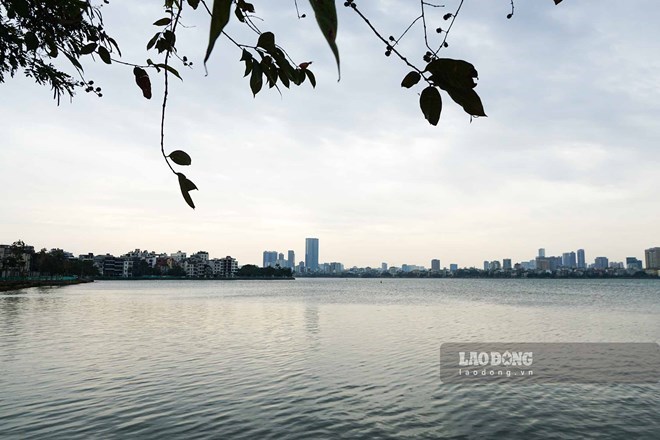 The West Lake ecosystem is currently facing very large environmental challenges. Photo: Tung Giang