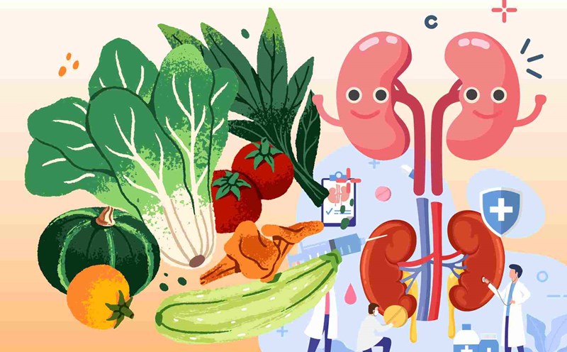 Healthy eating contributes to supporting kidney activity. Graphic photo: Nhu An