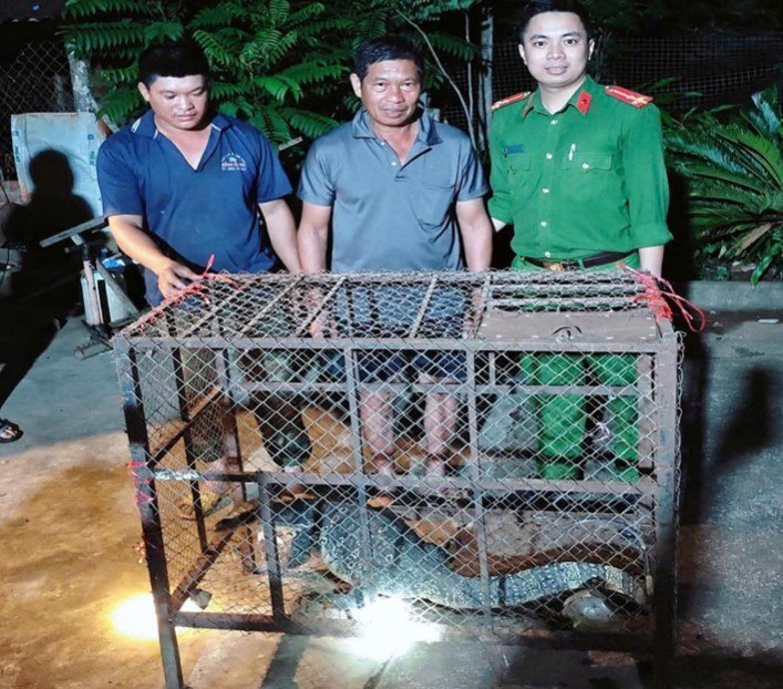 Functional forces receive and hand over a rare flower iguana individual to the natural environment. Photo: Police provided