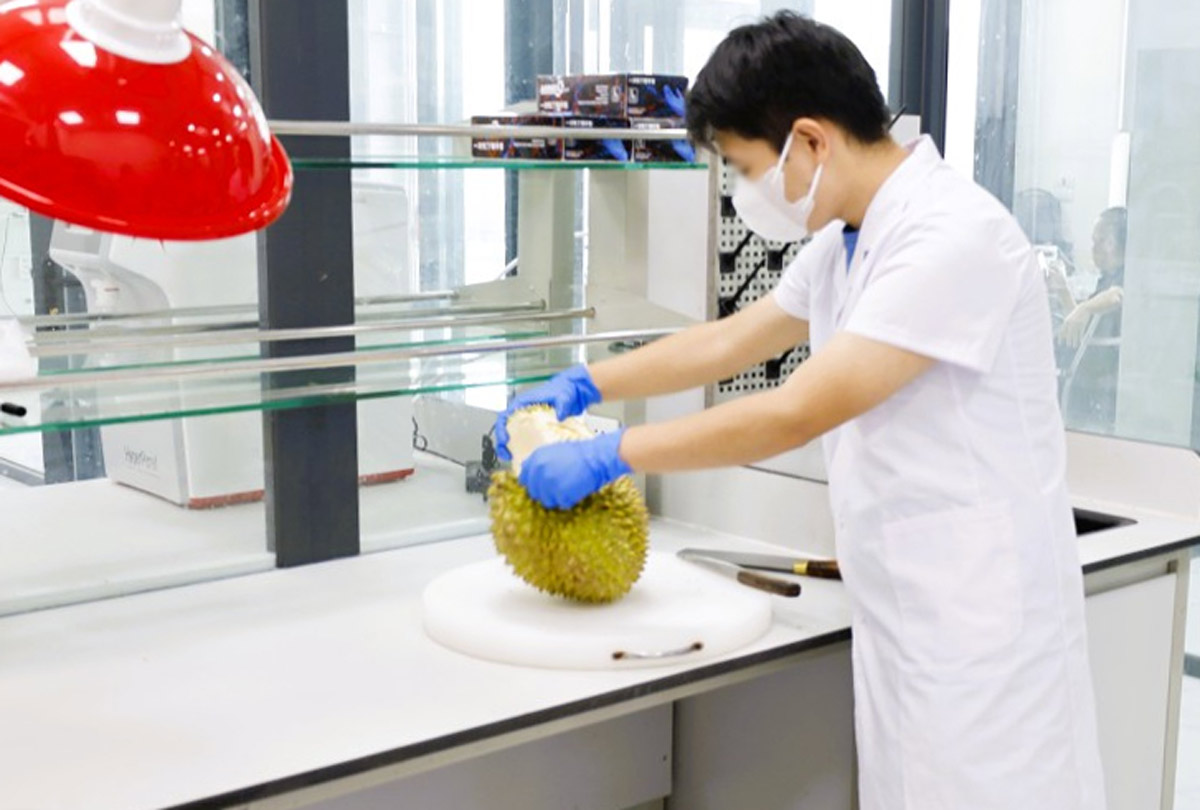 The testing laboratory located in the Bac Luan II bridge border gate area, Mong Cai 1 ward, Quang Ninh province is recognized by GACC as capable of testing Cadmium and Alkaline Gold fruits exported to China. Photo: Mong Cai 1 e-Portal