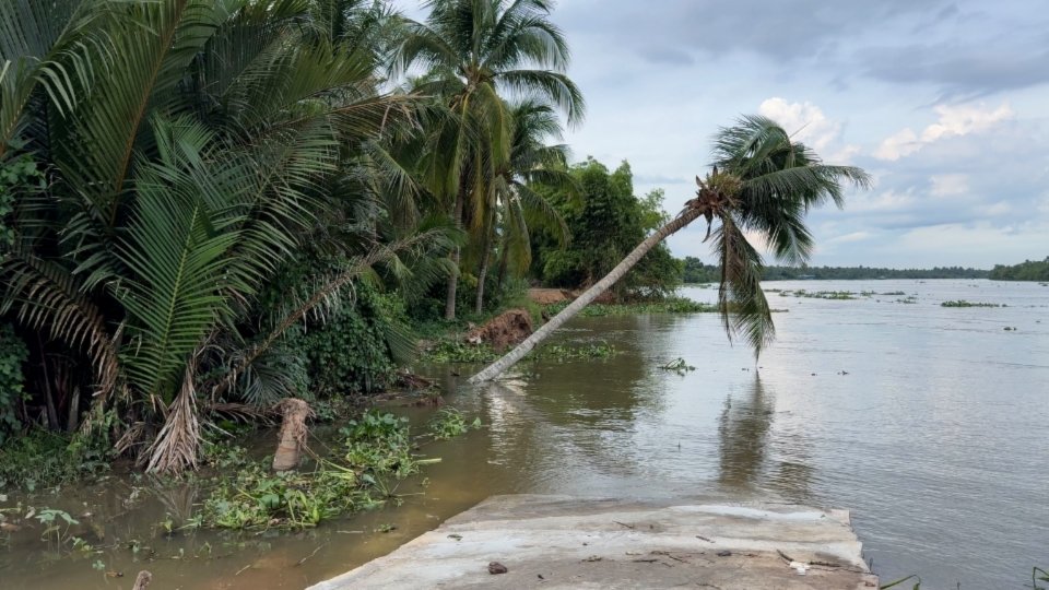 Vinh Long province recorded 45 riverbank and coastal erosion points with a total length of more than 5.8km. Photo: Hoang Loc