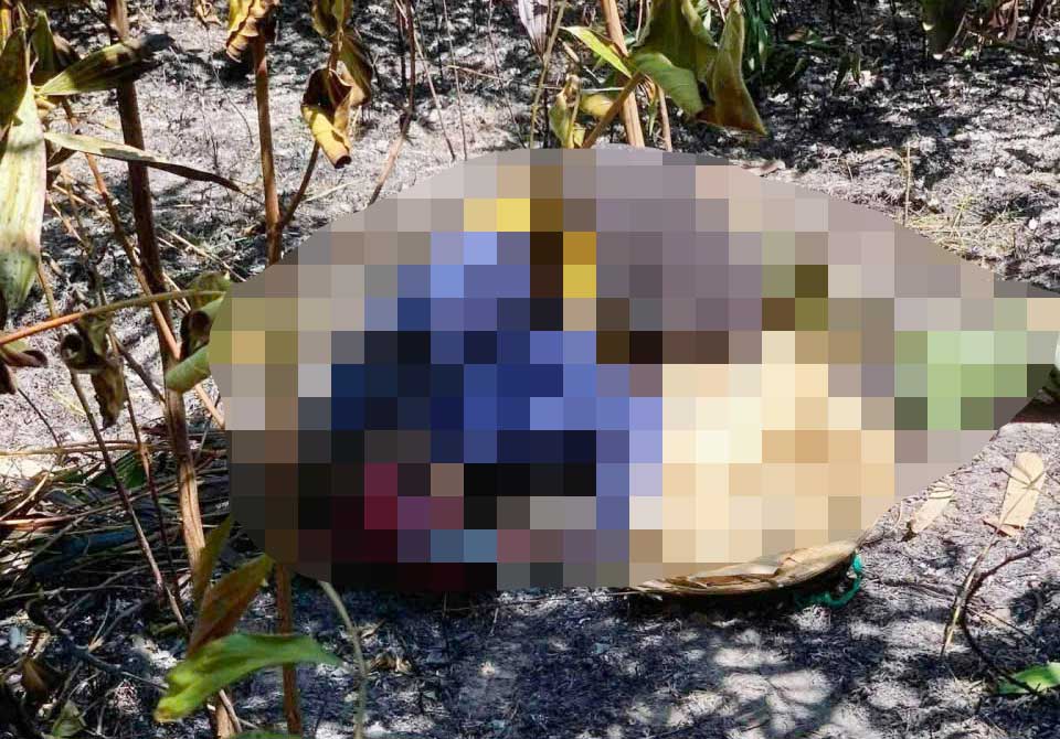 The scene where Mr. L and his wife died, suspected of being suffocated while fighting a forest fire. Photo: Hoang Anh
