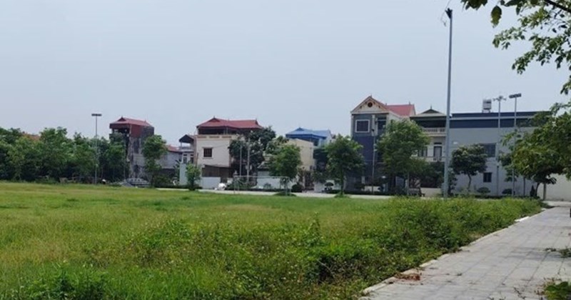 Ministry of Agriculture and Environment guides the conversion of rice land in residential areas to residential land