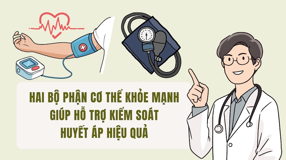 Two healthy body parts help support effective blood pressure control