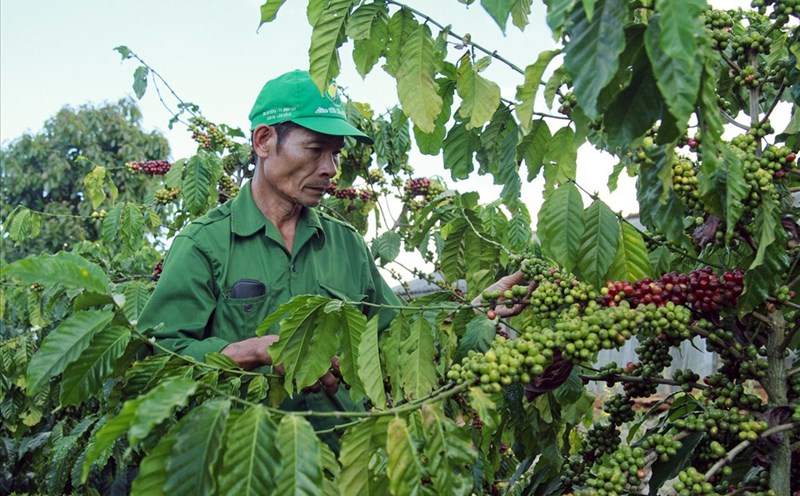 Agricultural exports accelerate, heading towards the 73 billion USD mark