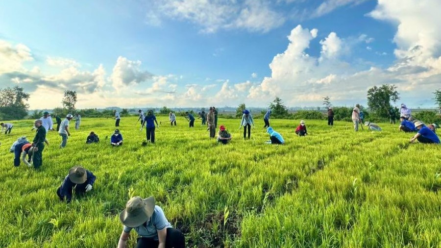 Launching the planting of 1,200 green trees in Long Dien commune on June 21. Photo: LD