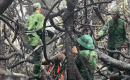 Forest fires continuously occur in Quang Tri. Photo: Quang Tri Border Guard