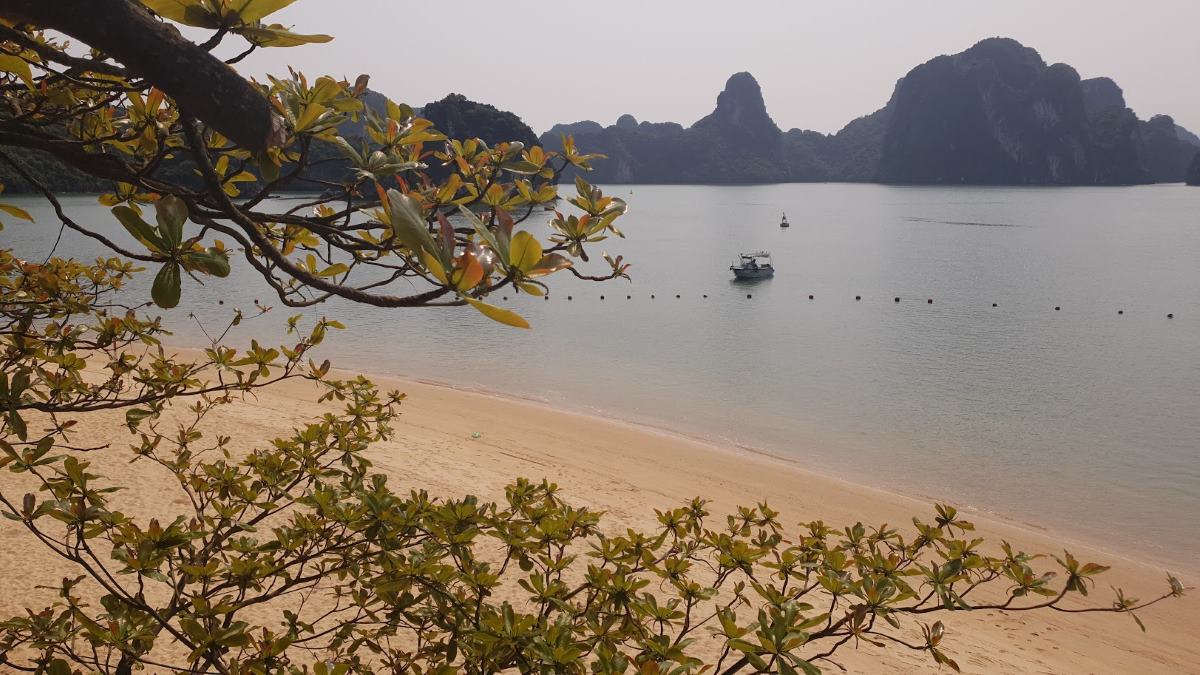 Bãi biển Ti-tốp - bãi tắm duy nhất được phép đón khách trên vịnh Hạ Long hiện nay. Ảnh: Nguyễn Hùng