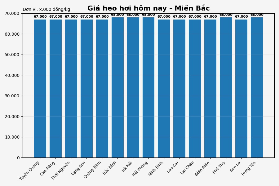 Giá heo hơi hôm nay 22.6 tại khu vực miền Bắc. Đồ họa: Thùy Linh