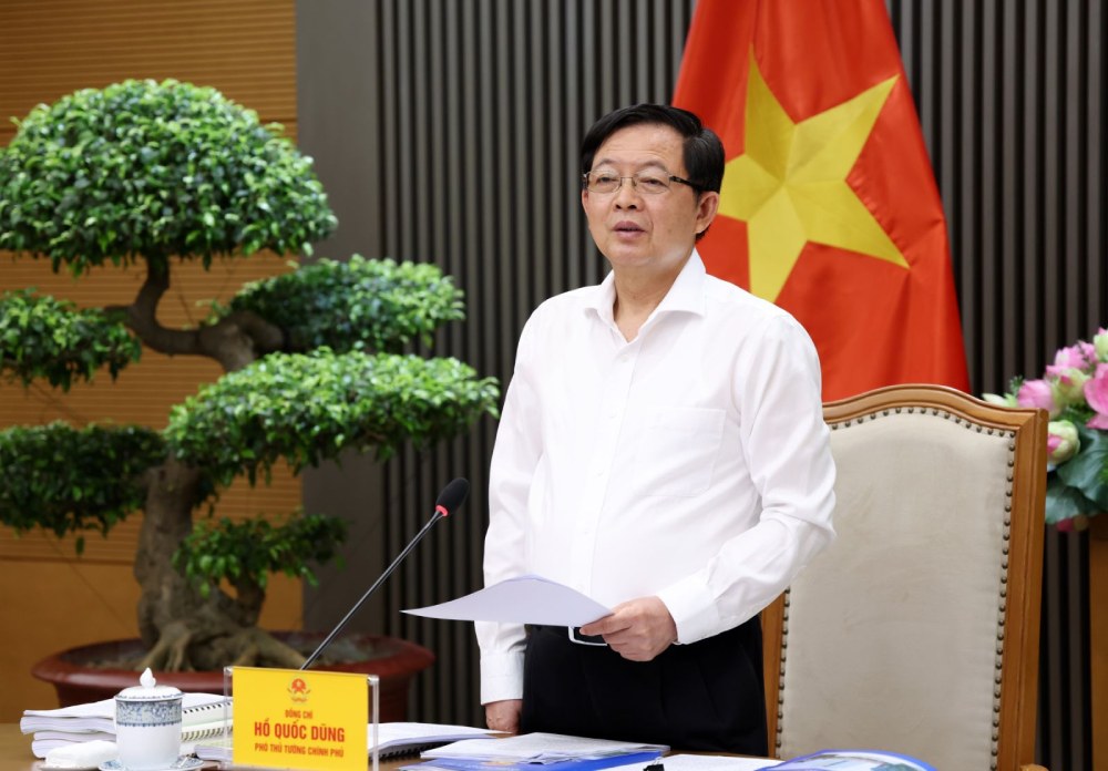 Member of the Party Central Committee, Deputy Prime Minister Ho Quoc Dung requests to gradually change the mindset of "dividing plots for sale". Photo: VGP