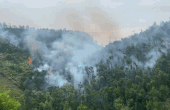 Armed forces increase troops to control forest fires in Nghe An. Photo: Nghe An Military