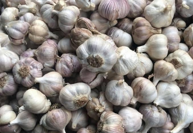 Using garlic properly in the summer can help the liver detoxify. Photo: Kieu Vu
