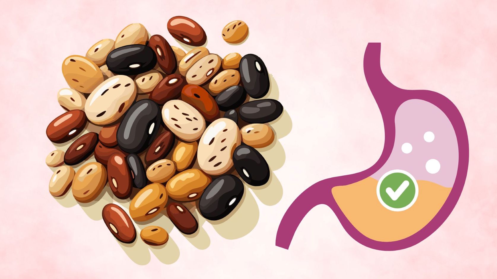 Supplementing enough fiber into your diet is a simple habit that helps your digestive system stay healthy every day. Graphics: Thanh Thanh