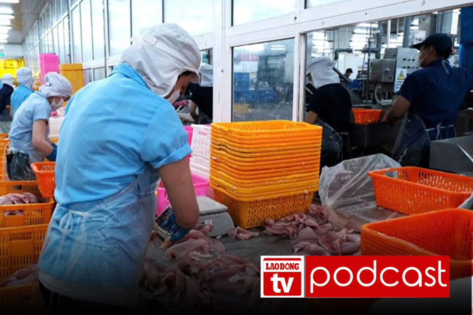 Morning news June 23: National Wage Council adjusts minimum wage table for 2027