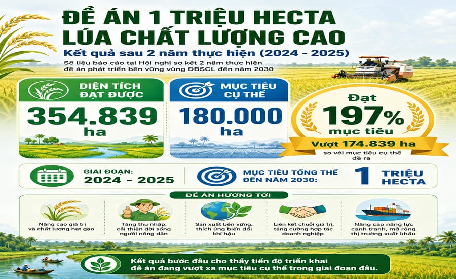 Đồ họa: TKTS