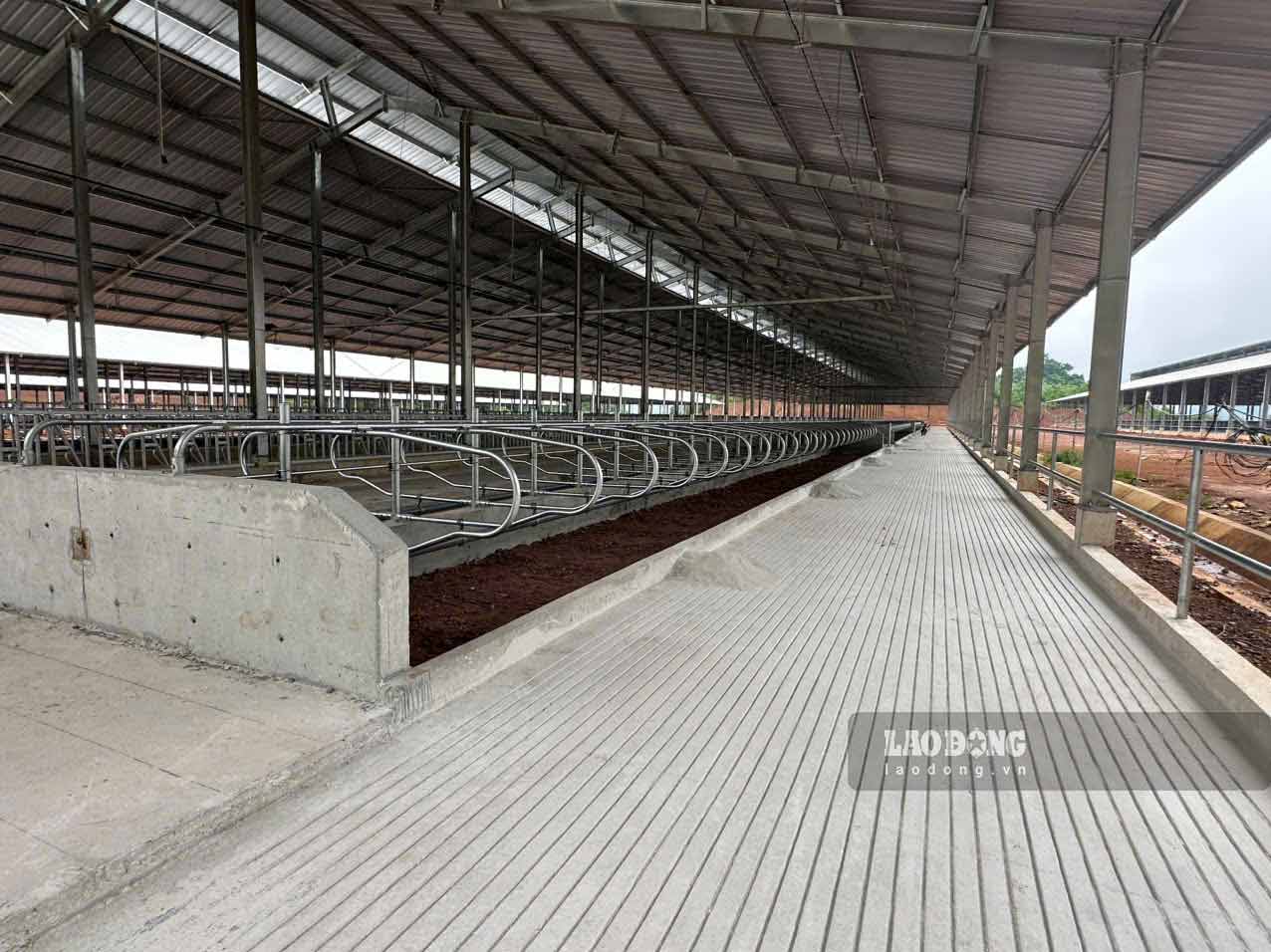Các  dãy chuồng nuôi đang dần hoàn thiện. Ảnh: Tân Văn
