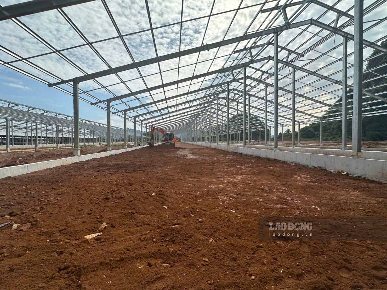 Các dãy chuồng trại được dựng mới và hoàn thiện. Ảnh: Tân Văn