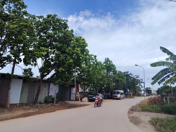 Auctioned assets are residential land that many people are interested in. Photo: Xuyen Dong