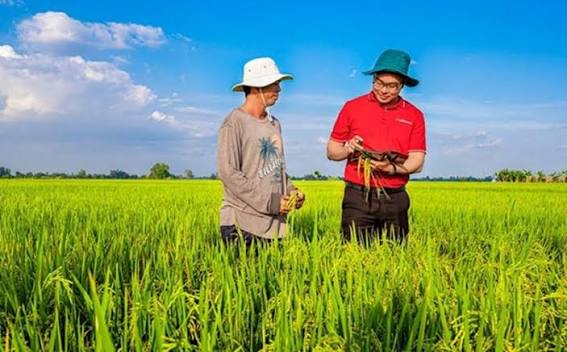 Green credit is expected to become an important driving force to help Vietnam achieve its high growth target associated with sustainable development. Photo: Thanh Hien.