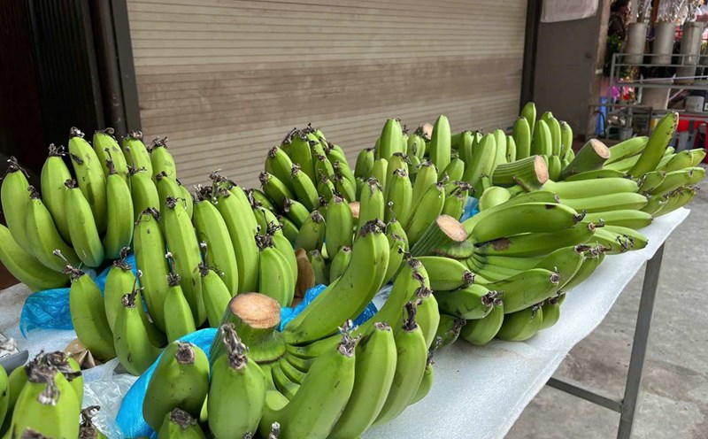 Suggestions de plats délicieux à base de bananes vertes pour aider à perdre du poids