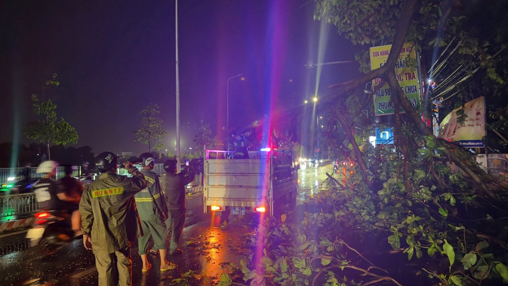 Rainstorms knock down trees on Nguyen Thong street, Phu Thuy ward. Photo: Pham Duy