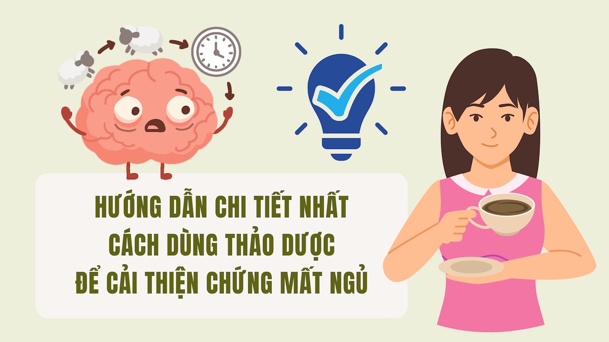 Most detailed instructions on how to use herbs to improve insomnia