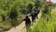 Searching for martyrs' remains in Cambodia.