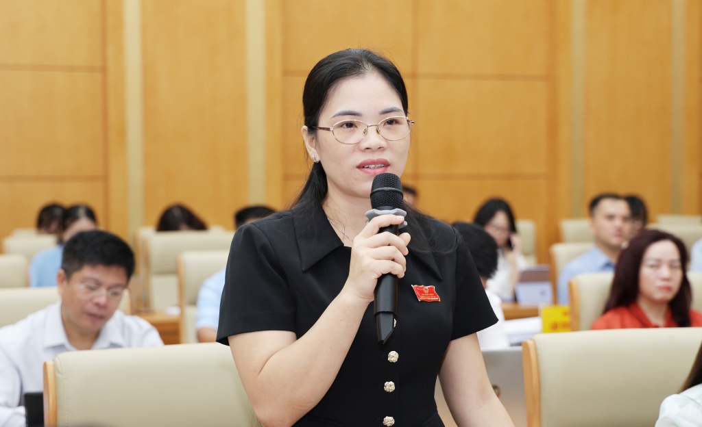 Đại biểu HĐND tỉnh Triệu Thị Hoa phát biểu thảo luận về vấn đề công tác lập quy hoạch cấp xã. Ảnh: Vũ Tiệp