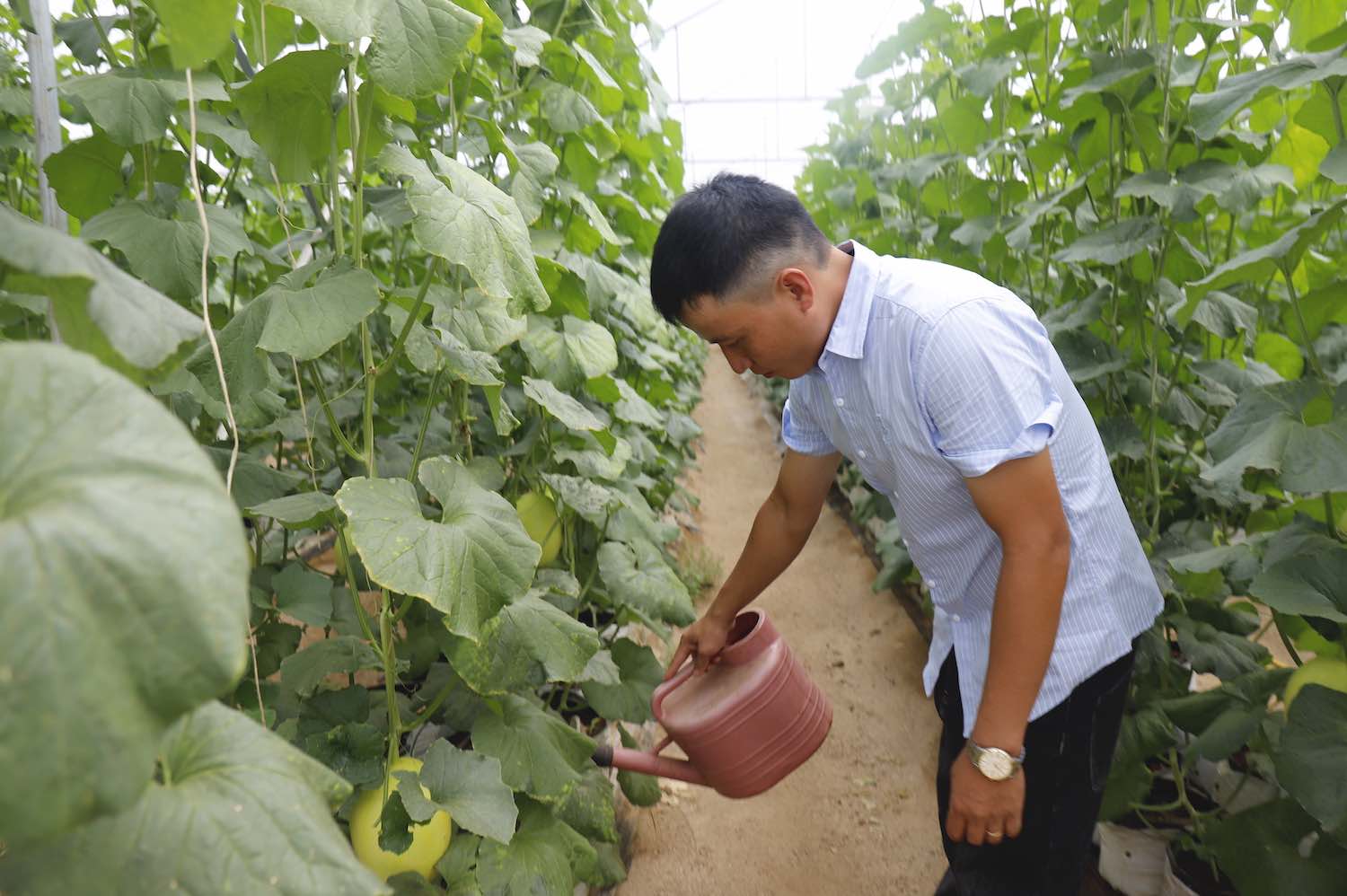 cán bộ tận tâm, trách nhiệm trong thực hiện nhiệm vụ được giao. 