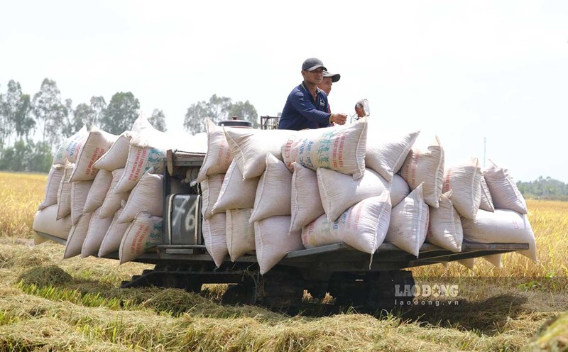 Responding to El Nino, Vietnamese agricultural products seek opportunities in challenges