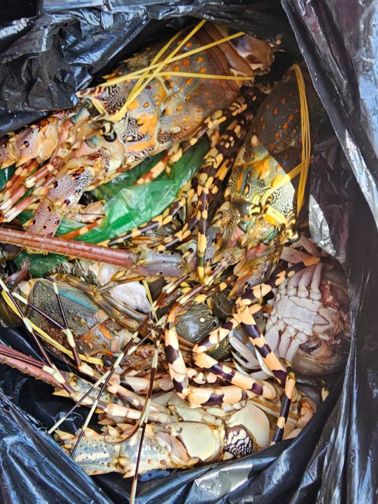 Du khách phản ánh về tình trạng đánh tráo hải sản kém chất lượng. Ảnh: Người dân cung cấp 
