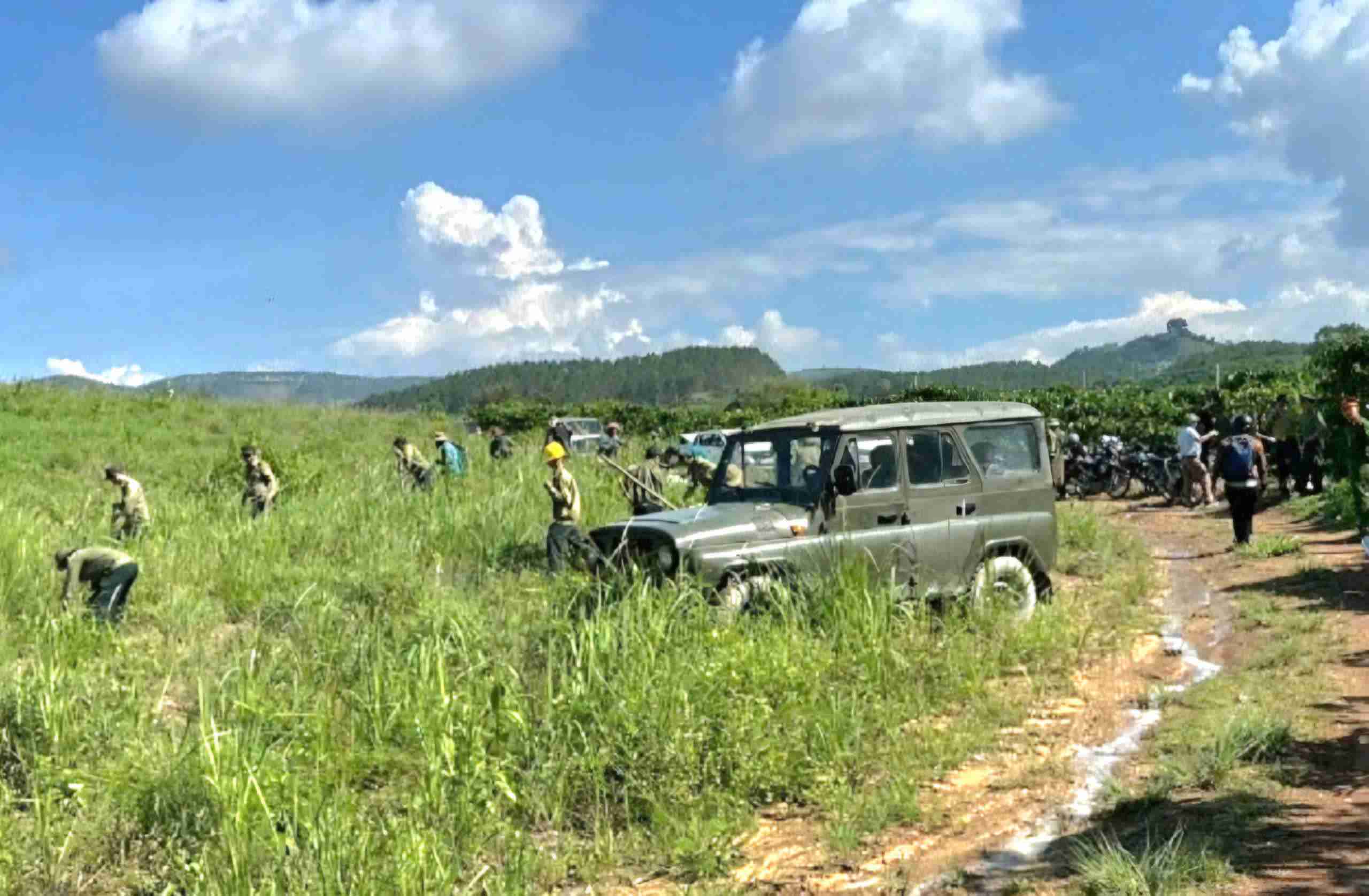 Cơ quan chức năng tiến hành cưỡng chế, thu hồi diện tích đất rừng bị lấn chiếm trái phép. Ảnh: Công an 
