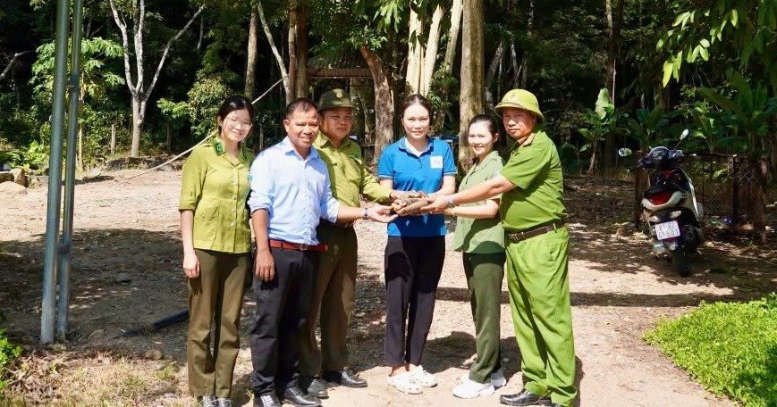Bàn giao tê tê Java để thả về tự nhiên. Ảnh: Công an Quảng Ngãi