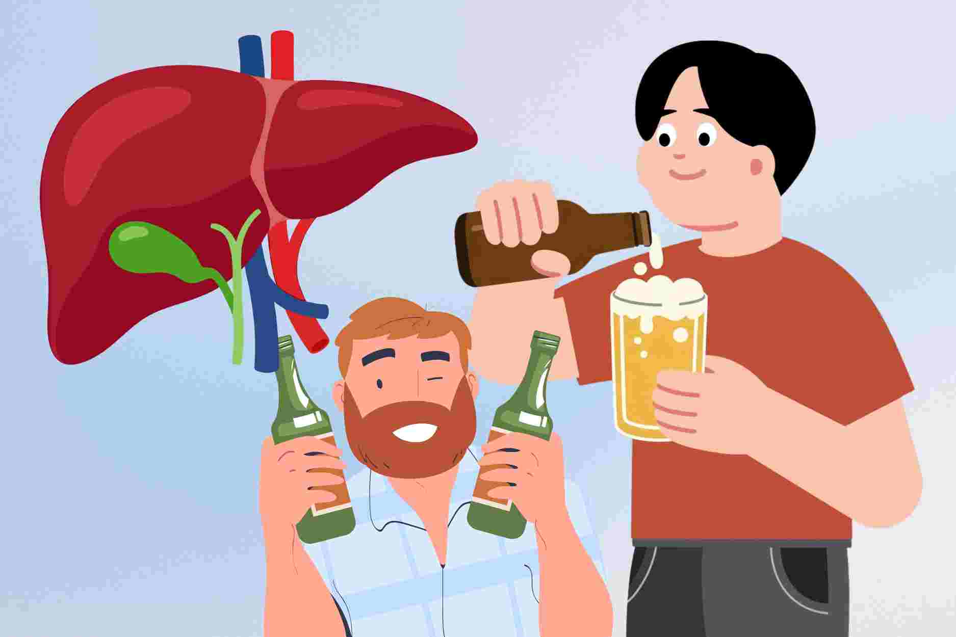 How to drink alcohol and beer to limit liver damage and increase liver enzymes