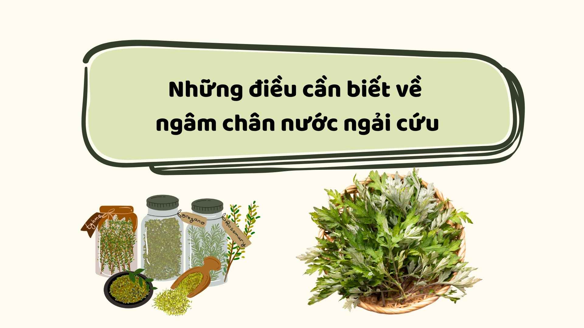 Things to know about soaking your feet in mugwort water