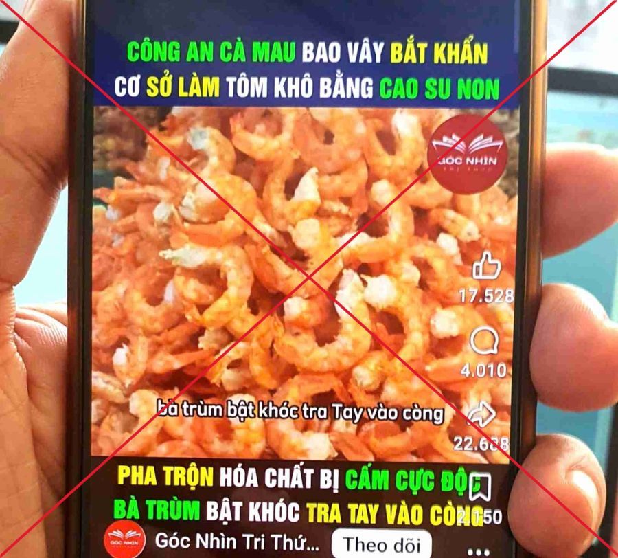 Information that Ca Mau dried shrimp is made of young rubber is untrue. Photo: Nhat Ho