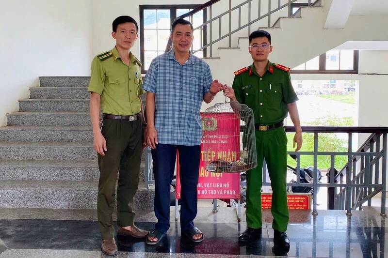 People voluntarily hand over rare sand turtles to functional forces of Mai Chau commune, Phu Tho province. Photo: Mai Chau Commune Police