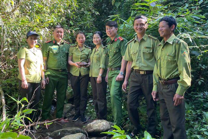 Functional forces of Son La province release an individual sand turtle back to nature. Photo: Ta Xua Special-use Forest Management Board