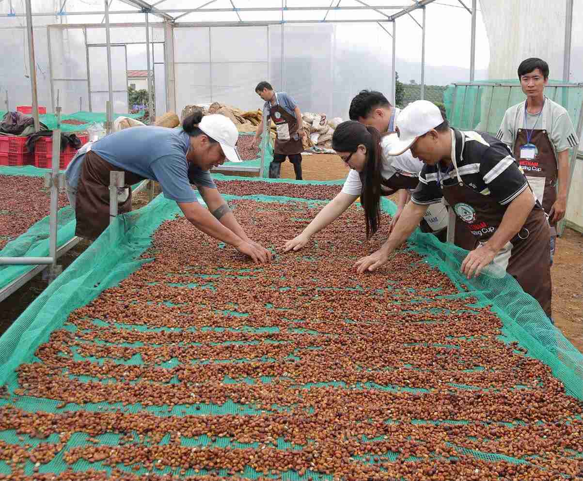 Dak Lak province has been and is prioritizing promoting the development of high-tech agriculture. Photo: Daklak Gov