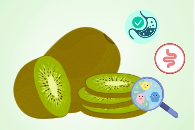 Unexpected benefits of kiwi fruit for the digestive system