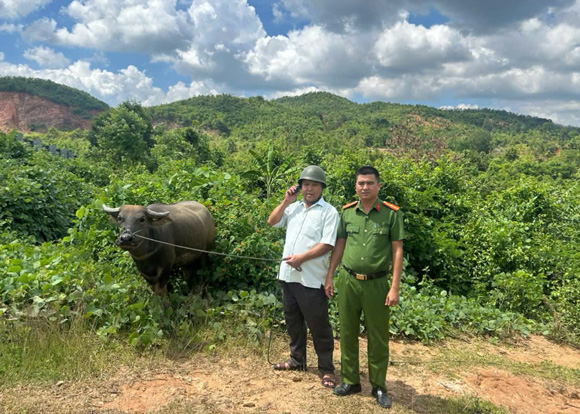 Local people are happy because the police agency announced that they have found the lost buffalo as property. Photo: Police