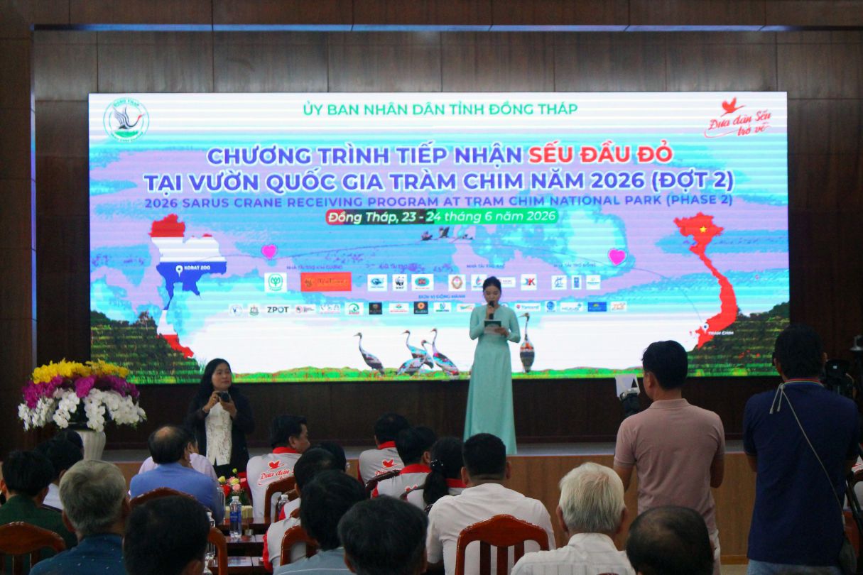 Quang cảnh chương trình tiếp nhận đợt 2 gồm 6 cá thể Sếu đầu đỏ từ Thái Lan về Vườn quốc gia Tràm Chim. Ảnh: Thanh Mai