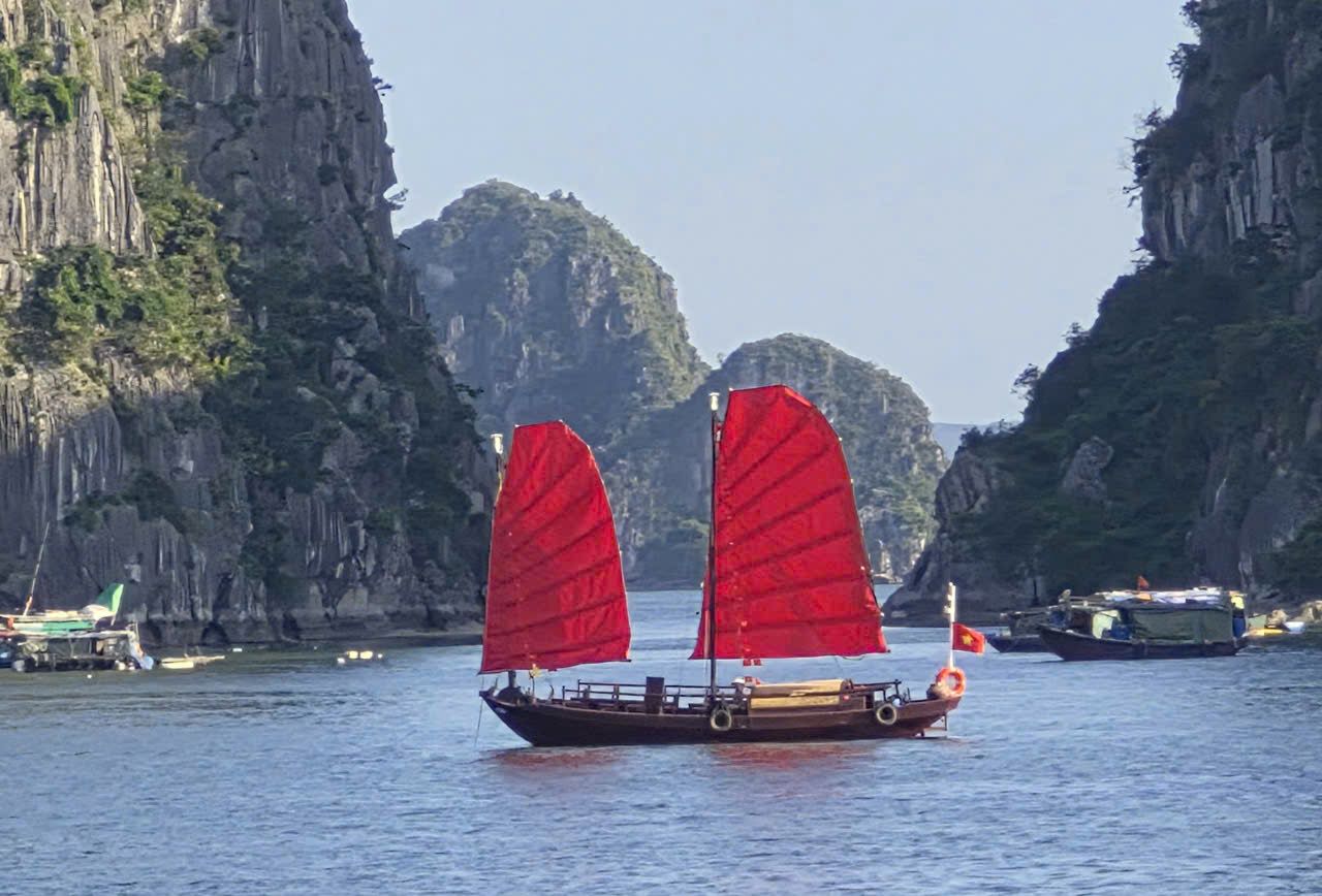Thuyền buồm ba vách là loại thuyền buồm độc đáo của riêng Quảng Ninh. Ảnh: Nguyễn Hùng