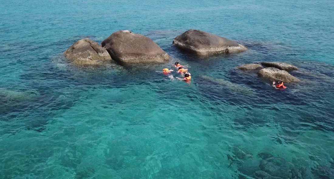 6. Hiện có nhiều cá nhân, đơn vị làm tour Hòn Cau, cung cấp dịch vụ vận chuyển cũng như ăn uống tại đảo. Ngoài ra, du khách còn được trải nghiệm lặn ngắm quần thể san hô đa dạng với hơn 234 loài, chèo sup, thưởng thức hải sản tươi ngon.