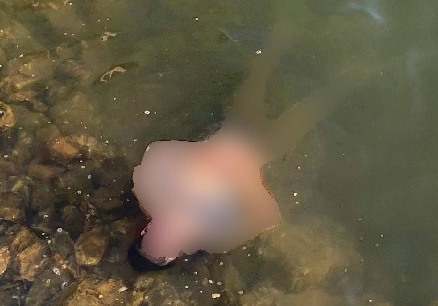ニャッレー川で発見された男性の遺体。写真:タイン・タオ