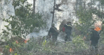 Scene of fierce forest fire in Thanh Hoa, forces brace themselves to extinguish the fire. Photo: Quach Du