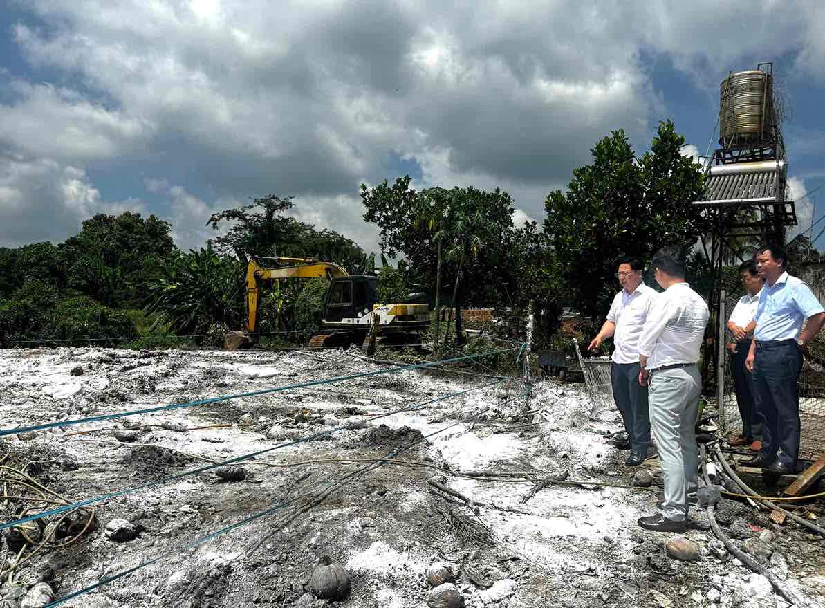 The working delegation surveys the African swine fever burial area in Tan Phu ward. Photo: HAC