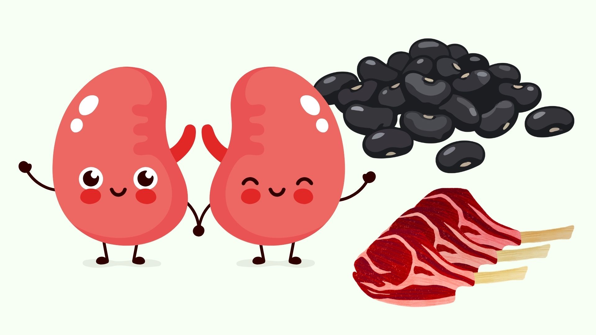 Kidney-nourishing foods are favored by traditional medicine. Graphics: Linh Dan